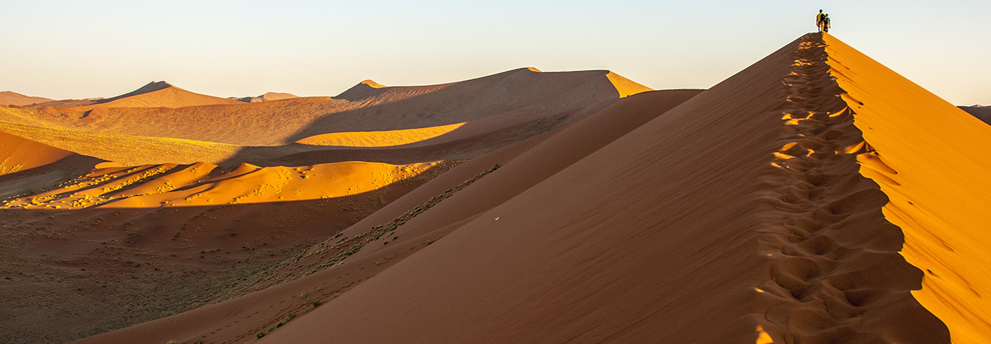 Bruce Gewertz, MD - Desert